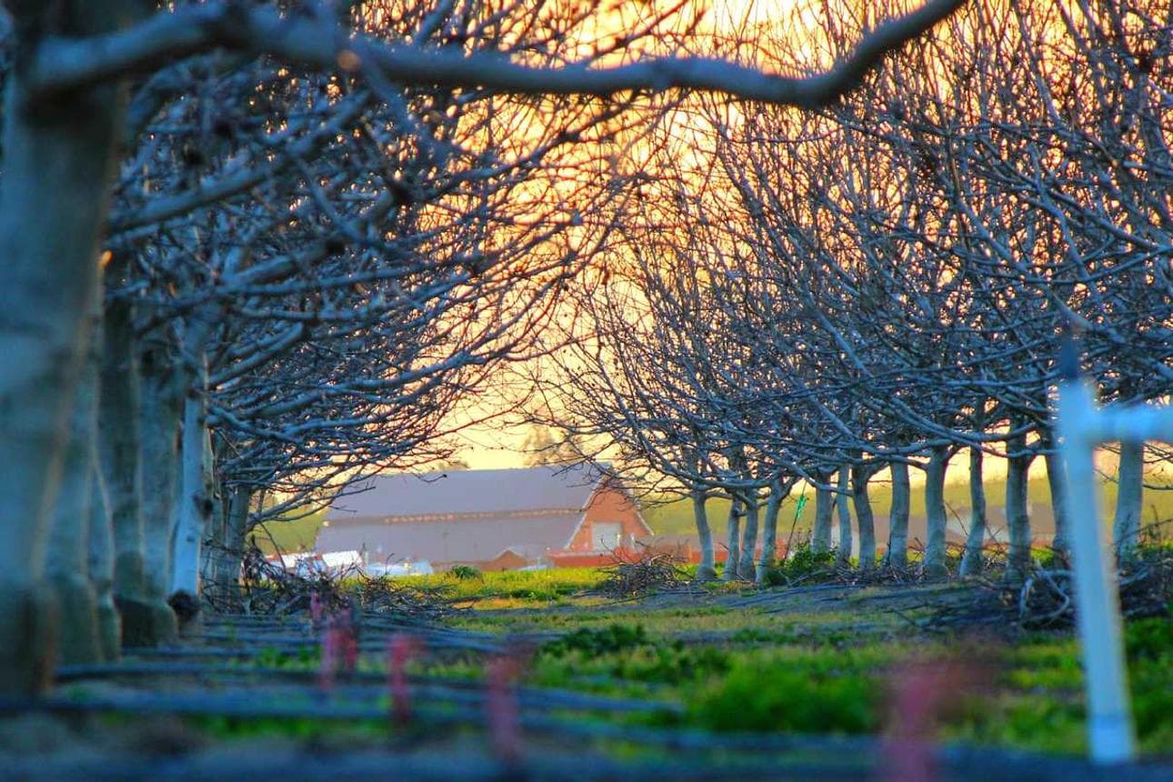 Exercitationem modi et et